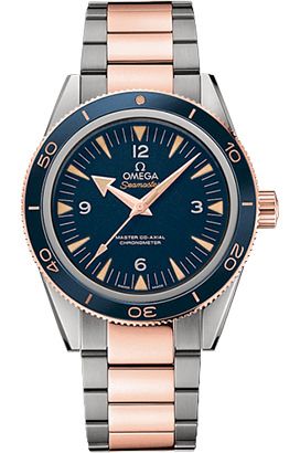 Omega 233.60.41.21.03.001