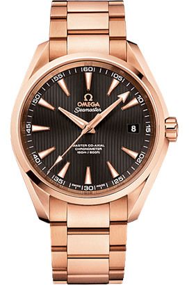 Omega Seamaster Aqua Terra 231.50.42.21.06.002