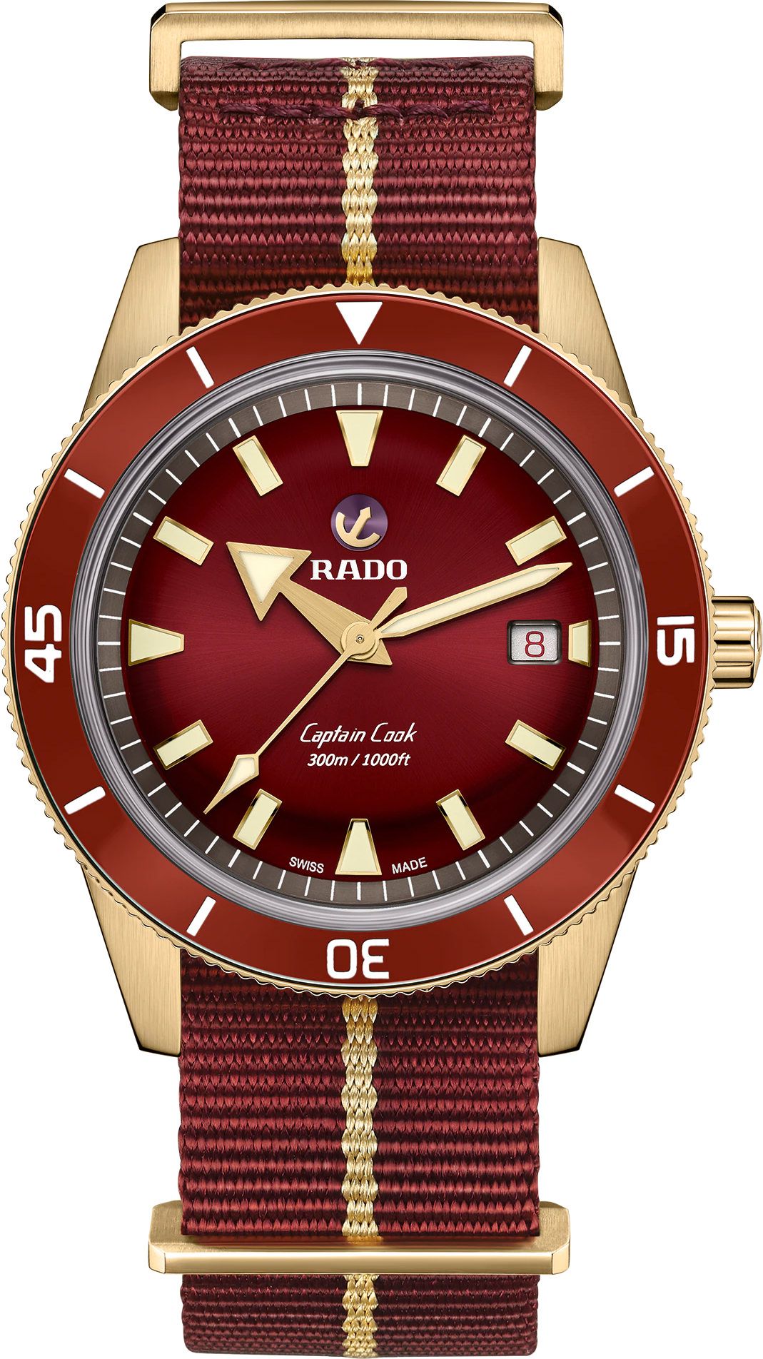 Rado Captain Cook  Brown Dial 42 mm Automatic Watch For Men - 1